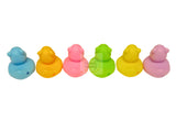 Set of 6 Care Bear Rubber Duckies